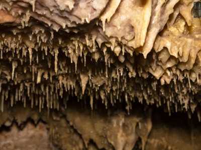 Luccicano sotto le nostre luci, mentre tutt'intorno � un allegro risuonare di gocce d'acqua che cadono ritmicamente dall'alto e scandiscono il tempo dei nostri respiri